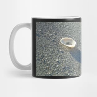 Shell Mug